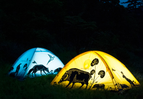 光の森　Light Up Tent